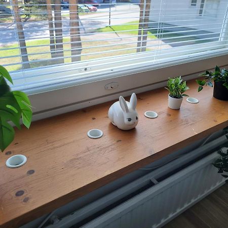 Central Studio - Easy Check-In, Free Parking & Wifi Rovaniemi Exterior photo