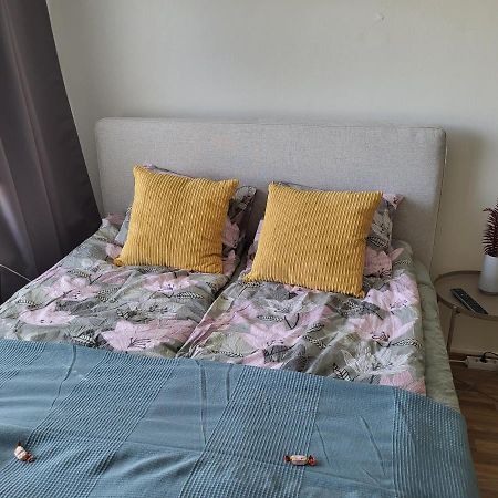 Central Studio - Easy Check-In, Free Parking & Wifi Rovaniemi Exterior photo